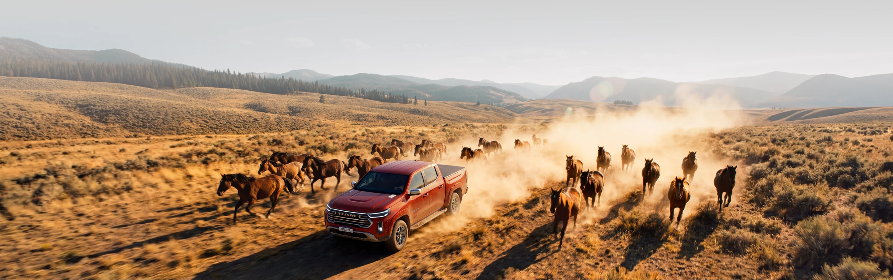 Ram Dakota em estrada de terra com cavalos Imagem com visão superior da Ram Dakota na cor vermelha, acelerando e levantando poeira em estrada de terra. Ao seu redor há um grupo de cavalos em movimento.